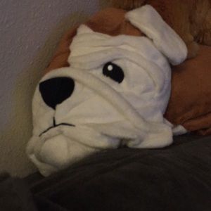 Meet your Posher, Annie